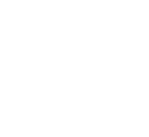 icon-wingbeats-white
