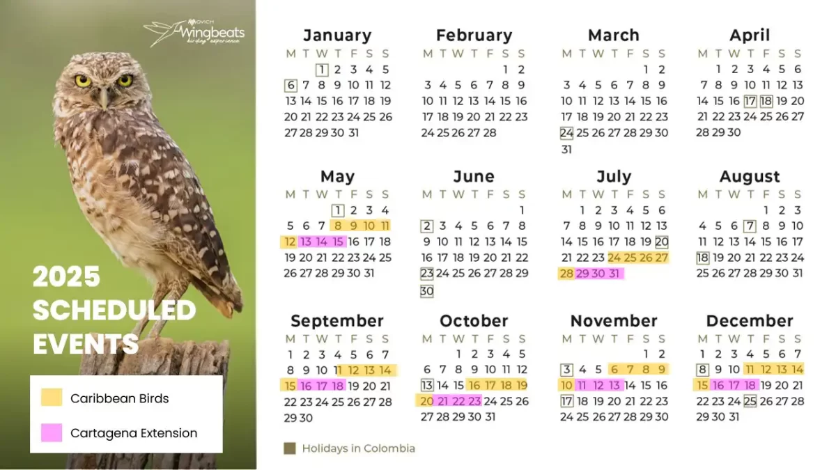 birding-calendar